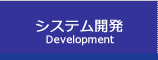 システム開発 development